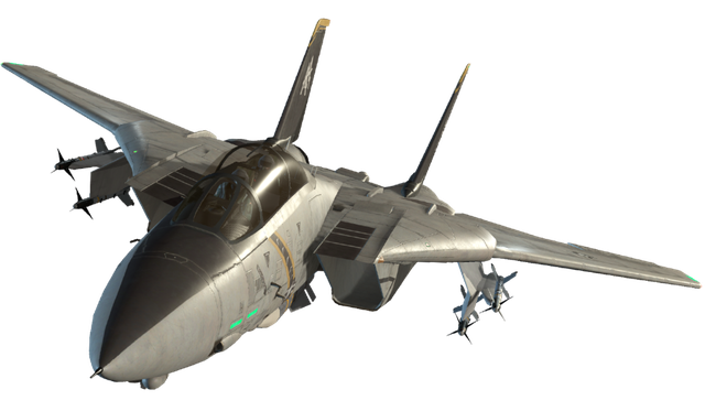 F-14 Tomcat