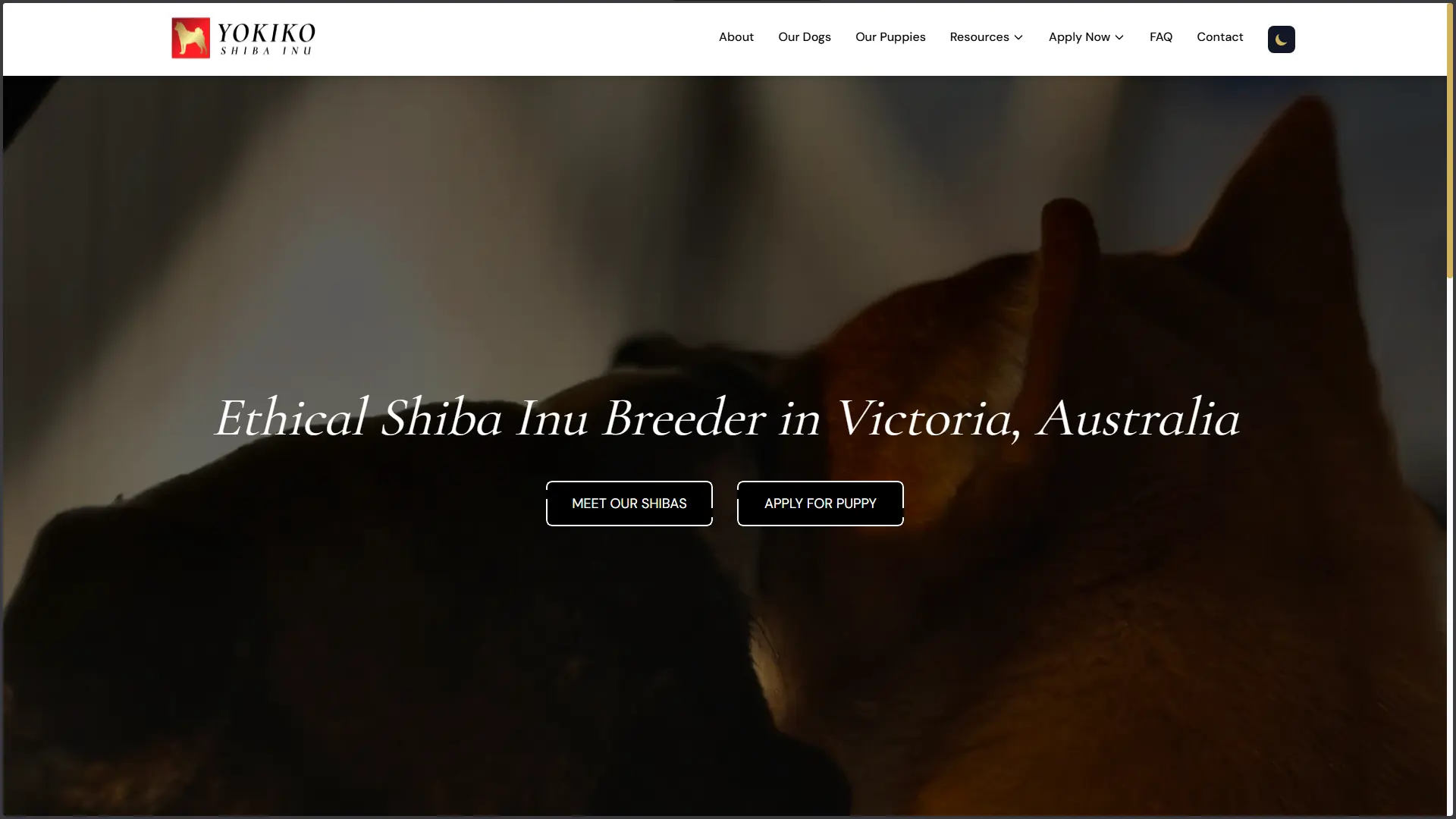 Yokiko homepage hero showing full-width layout